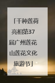 千种莲荷亮相第37届广州莲花山莲花文化旅游节